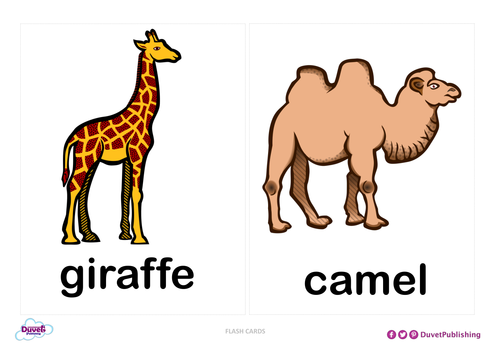 Zoo Animals Flashcards