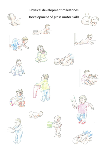 Physical Development in Infancy - Child Development / Health and Social ...