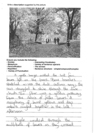 descriptive writing grade 9 sample answer by