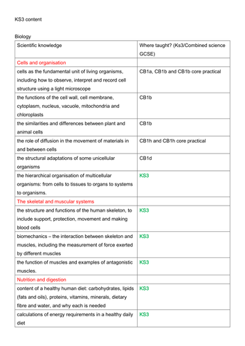 docx, 23.38 KB