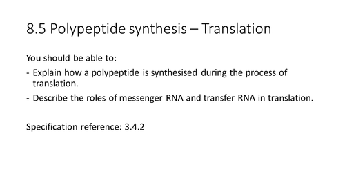 NEW AQA AS Biology 8.5 Translation