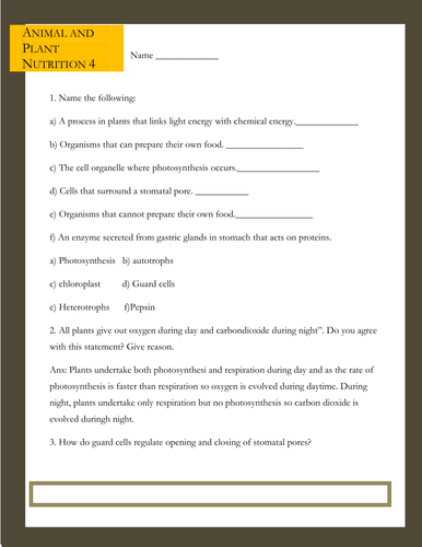 Animal and plant Nutrition 4