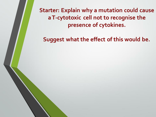 Immunology topic. A Level Biology, AQA 7401/7402