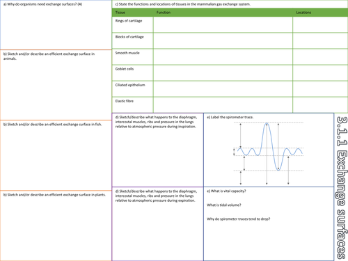 OCR Biology 3.1.1 Exchange Surfaces Revision Sheet