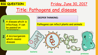 AQA new specification-Pathogens and disease-B5.2 | Teaching Resources