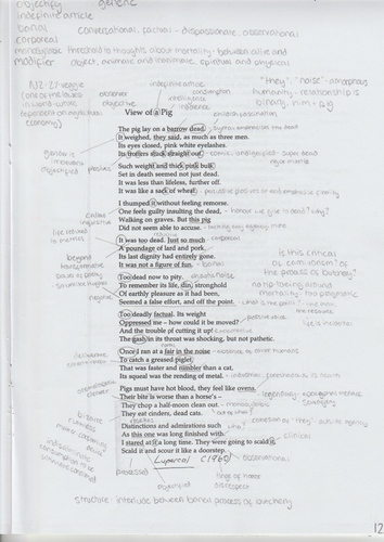 Ted Hughes - View of a Pig | Teaching Resources