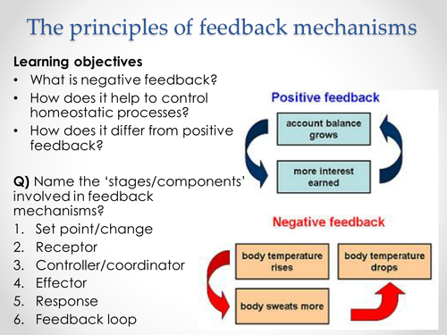 Control of the oestrous cycle & feedback in females | Teaching Resources