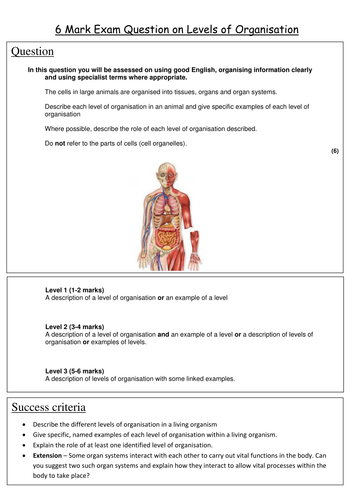 docx, 117.06 KB