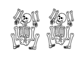 Ks3 Skeleton Lesson Teaching Resources