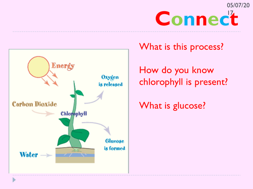 KS3 Photosynthesis