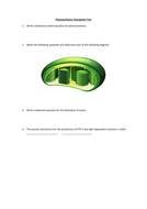 Photosynthesis Worksheet/Checkpoint Test | Teaching Resources