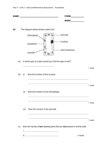 Year 7 -Cells and Movement Assessments - Foundation and Higher with ...