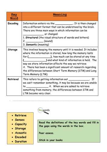 Memory GCSE AQA - flow of information