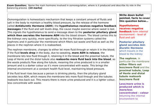 docx, 27.81 KB