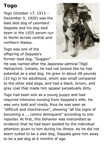 togo dog stuffed