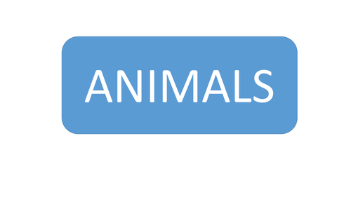 End of Term animals word game | Teaching Resources