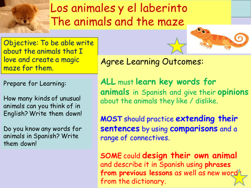 KS3 Spanish: Easy Cover Lesson on Animals with Design your own Maze |  Teaching Resources