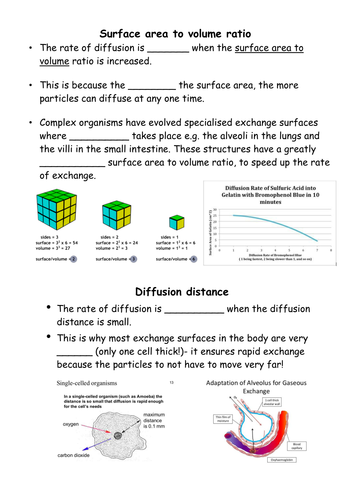 docx, 480.68 KB