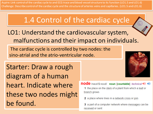 Control and Regulation of the Cardiac Cycle for Health and Social Care ...