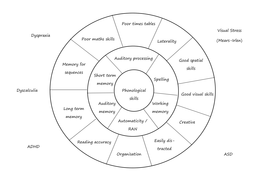 Dyslexia assessment wheel | Teaching Resources