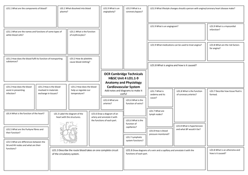 Level 3 Cambridge Technicals Health and Social Care Anatomy and ...