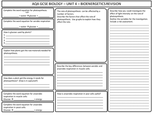 AQA GCSE Biology - Bioenergetics - Revision Worksheet | Teaching Resources