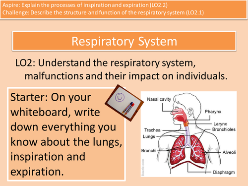 Health and Social Care Cambridge Technicals Level 3 Unit 4 Respiratory ...