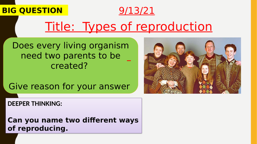 AQA new specification-B13 Reproduction bundle-Biology/separate science ...