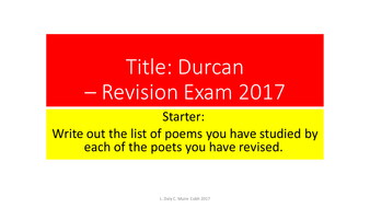 Paul durcan essay leaving cert image