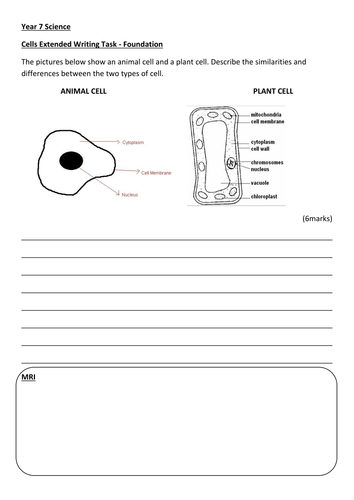 Extended writing task - Cells - Foundation