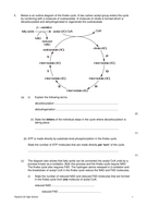 New Biology A Level OCR 5.7.4 The link reaction and the Krebs cycle ...