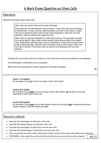 New AQA GCSE Biology - Cell Biology - Stem Cells - HIM task | Teaching ...