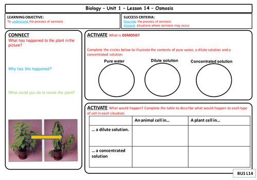 New Spec AQA GCSE Biology - Cell Biology - Osmosis | Teaching Resources