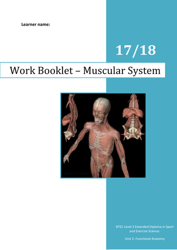muscular-system-workbook-teaching-resources