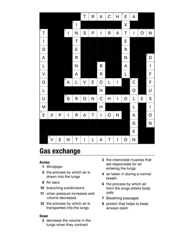 Gas exchange crossword