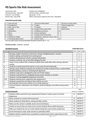 Risk Assessment/Dodgeball