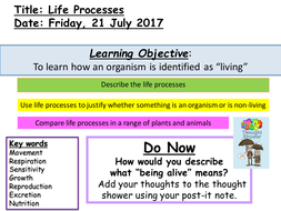Life Processes 7a KS3 resource | Teaching Resources