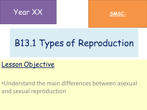 Asexual And Sexual Reproduction Lesson Aqa Gcse 461 B131 5610