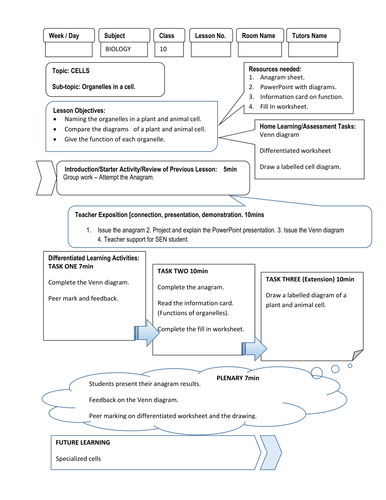 IGCSE -GCSE Biology - Organelles in a plant and animal cell (Lesson plan)