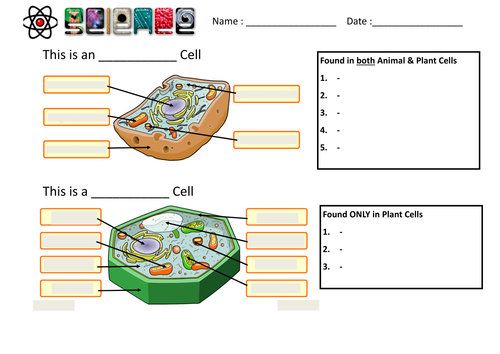 Cells / Tissues / Organ Systems - Pupil Worksheet Bundle - BIOLOGY |  Teaching Resources
