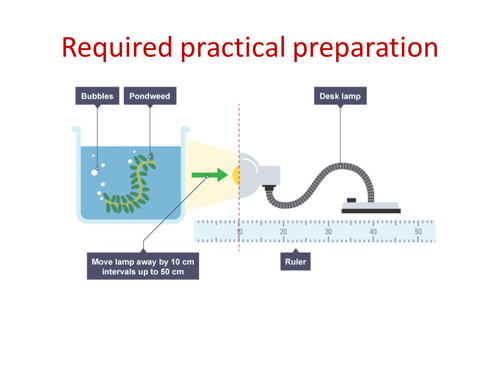 AQA GCSE Biology B8 Photosynthesis | Teaching Resources
