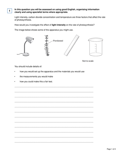AQA GCSE Biology B8 Photosynthesis | Teaching Resources