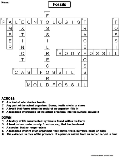 Types of Fossils Crossword Puzzle | Teaching Resources