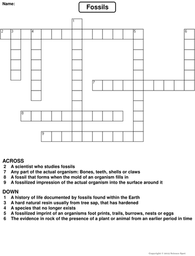 Types of Fossils Crossword Puzzle | Teaching Resources