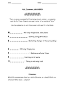 KS3 Biology MRS GREN worksheet | Teaching Resources