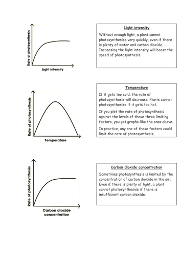 AQA 9-1 Biology Rates of Photosynthesis | Teaching Resources