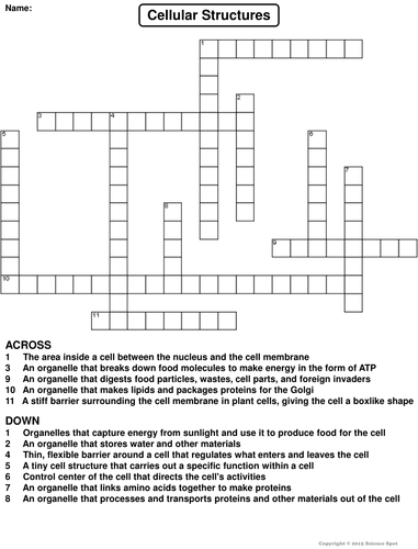 Cell Organelles Crossword Puzzle Teaching Resources