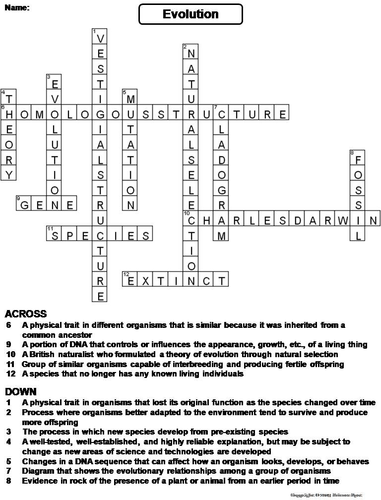 Evolution Crossword Puzzle Teaching Resources