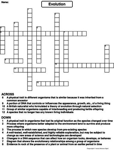 Evolution Crossword Puzzle | Teaching Resources
