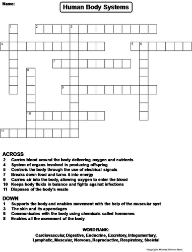 Human Body Systems Crossword Puzzle Teaching Resources